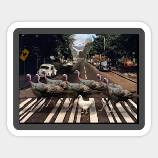 Abbey Road Without Beatles but with Birds Sticker